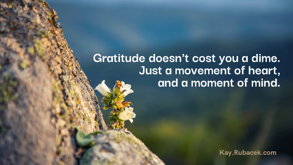 With Gratitude, From&nbsp;Kay